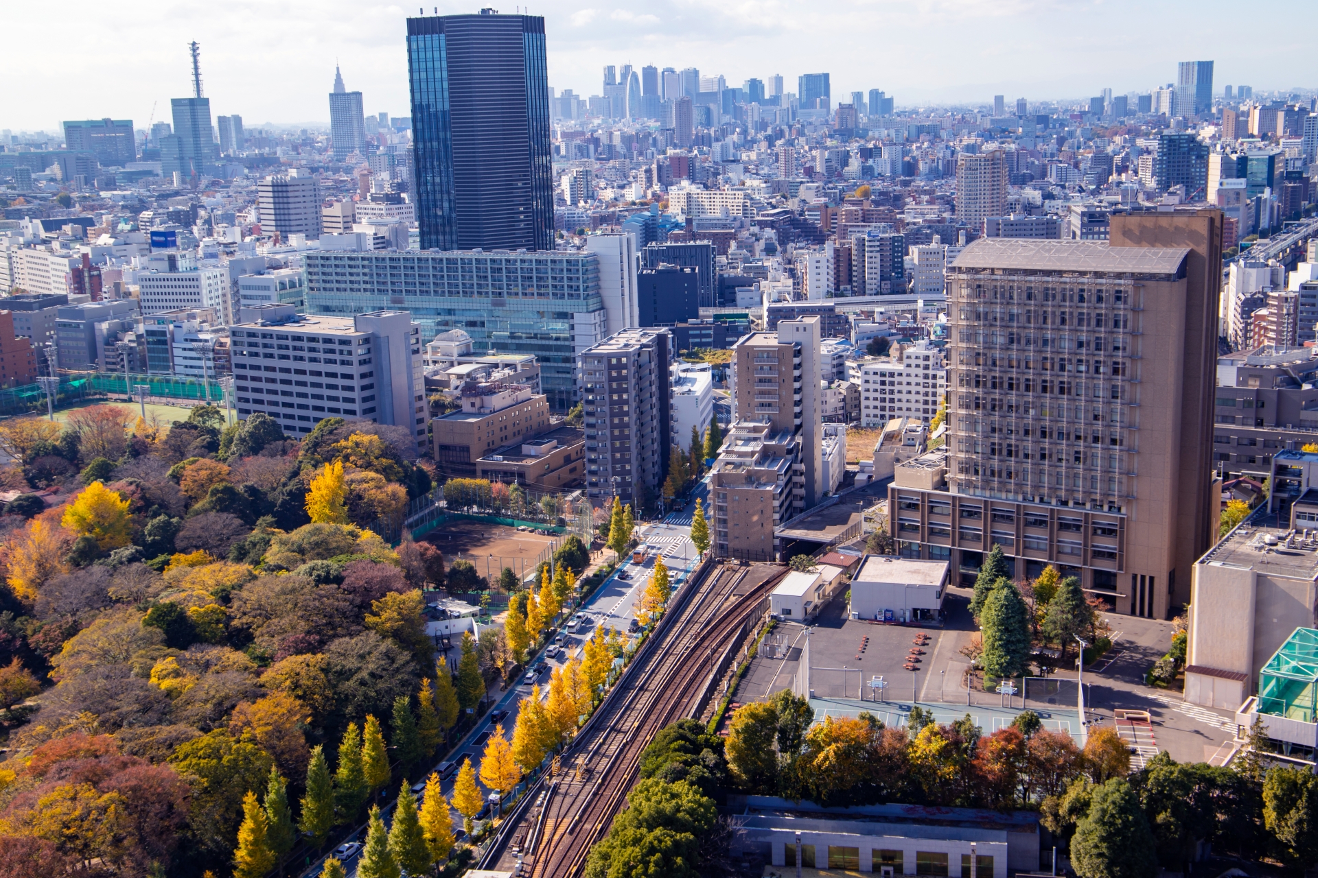 東京都内でおすすめの粗大ゴミ回収業者を5社徹底解説