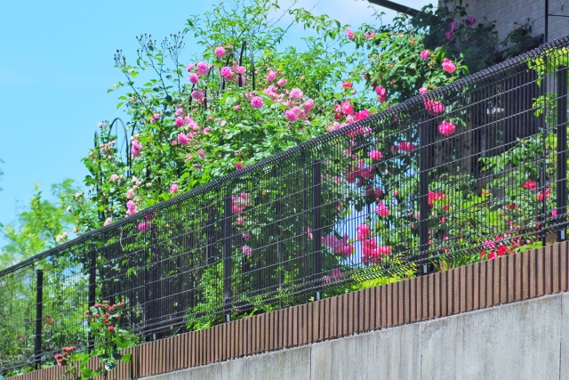 土の処分で注意すること